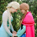 Little Light Princess Company