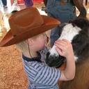 LittleOne Zoo