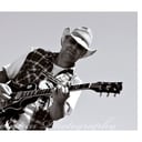 LIVE RUST A Tribute to Neil Young