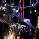 Lovely Hearts Aerial Arts