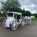 Lowcountry Carriage