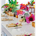 LSO Events &amp; Public Relations