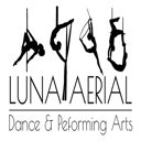 Luna Aerial Dance &amp; Performance Team