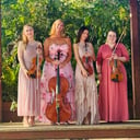 Perle Noire String Musicians