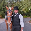 Mainely Drafts Horse and Carriage