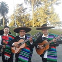Mariachi Trio El Mexicano
