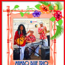 Mambo Blue Latin Band