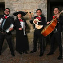 Mariachi America del Sol (serenatas)