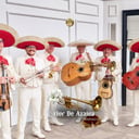 Mariachi Flor de Azalea