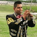 Mariachi Show Los Reyes