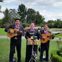 Mariachi Trio Los Azulado