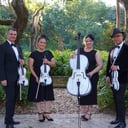 Miami Musicians for Events