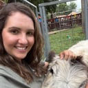 Swartz Farm Mobile Petting Zoo
