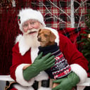 Mr and Mrs Santa Lapointe