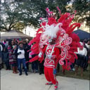 Mr. Mardi Gras!