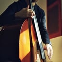 Musician
