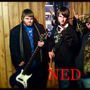 Ned