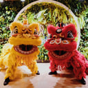 New York Lion Dance