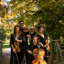 Rubato Quartet