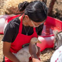 Oasis Family Ranch Petting Zoo