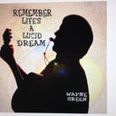 Wayne Green - One Man Band