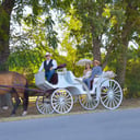 Orange Sky Carriage Rides LLC