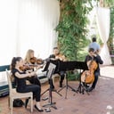 Organic String Quartet
