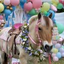 Palm Valley Pony Parties
