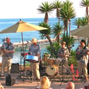 Panjive Steel Drum Entertainment