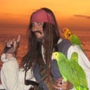 Pirates for Parties
