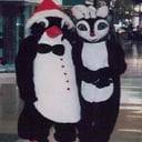 Party Animals Of Ohio