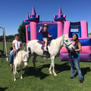 Party Ponies Yuma
