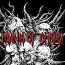 Pawns of Christ