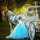 Pegasus Carriage Company