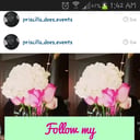 Perpetual Events by Priscilla Opoku