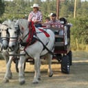 Perseverance Ranch Carriages and Wagons