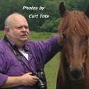 Photos by Curt Tota