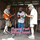 Pigeon Post String Band