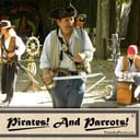 Pirates And Parrots