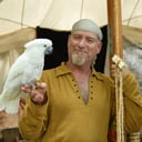 Piratical Parrot