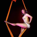 Poisnivy Circus