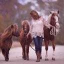 Pony Tales LLC