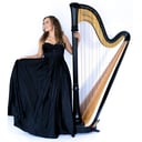 Korenna Hodge, Professional Harpist