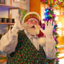 Professional Santa Claus Kenney