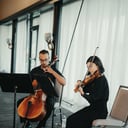 Cincy Strings - Professional Live Music