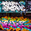 Prophit