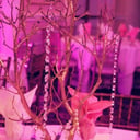 Purposely Gifted Event Planning &amp; Coordinating