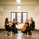 Quartet Evolution
