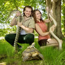 Realm of the Reptile