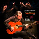 Ricardo Marlow Flamenco/Rumba Group
